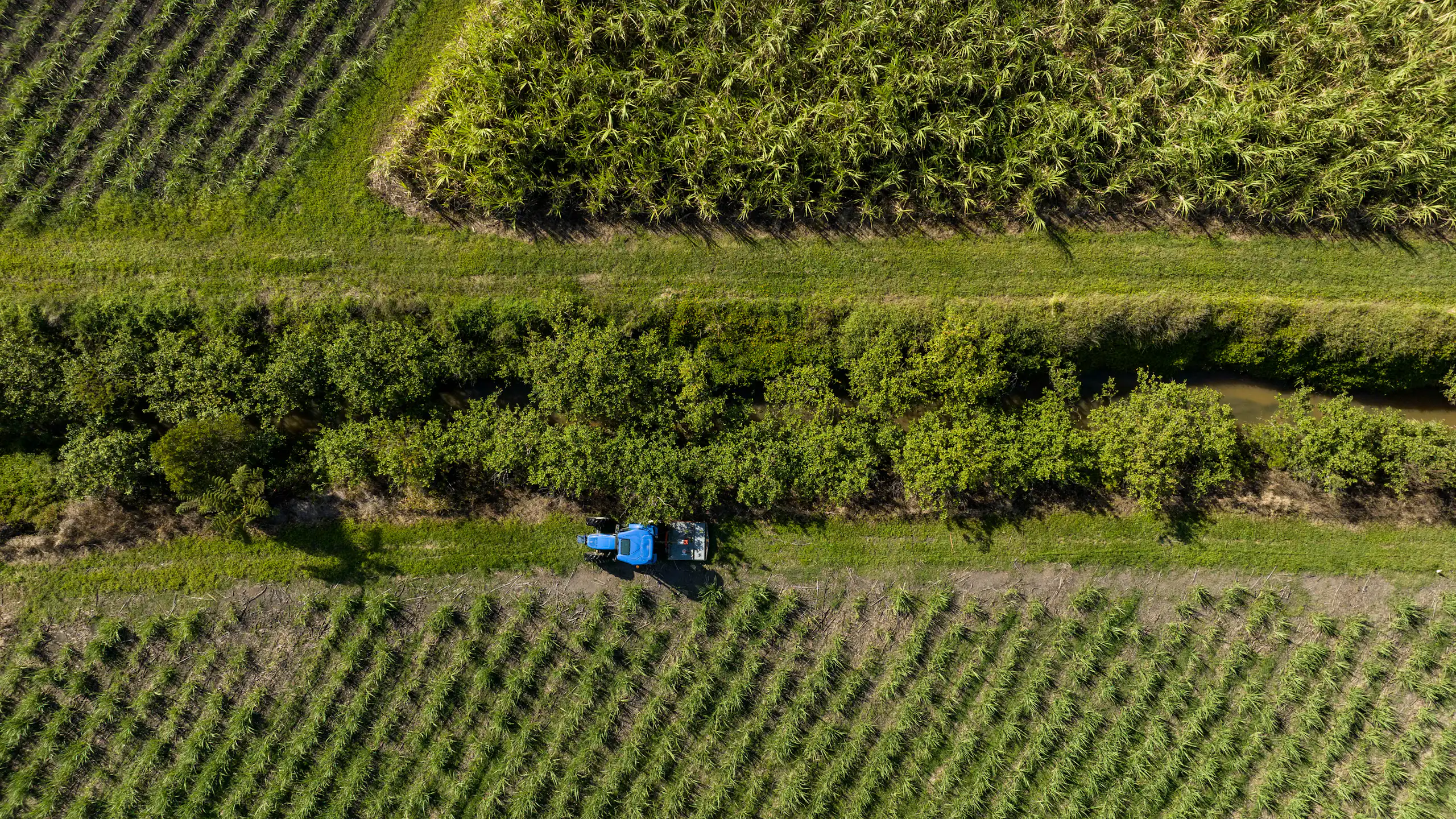 aerial view of lush farm with mixed fields and trees.