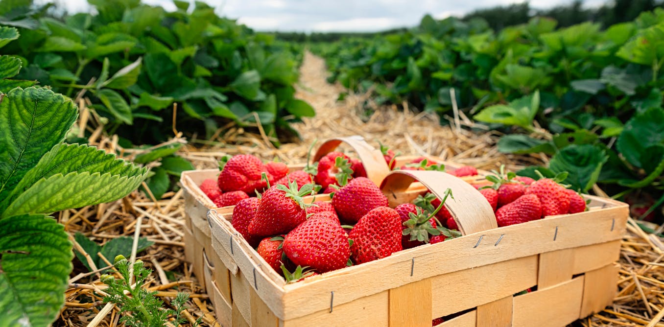 How ‘digital twins’ could help prevent cyber-attacks on the food industry How ‘digital twins’ could help prevent cyber-attacks on the food industry