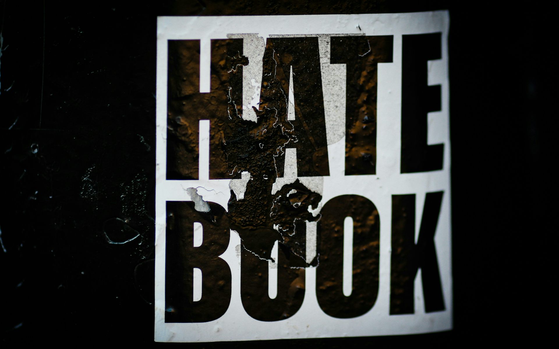 Sur les réseaux sociaux, les « haters » ont trouvé un terrain pour se coordonner.