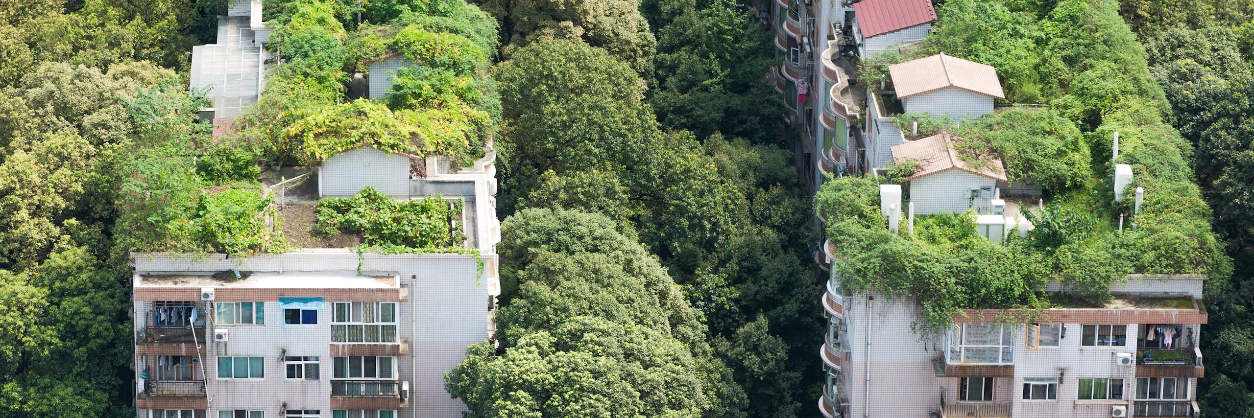 Hacia ciudades más saludables: las medidas de la COP30 para el futuro urbano