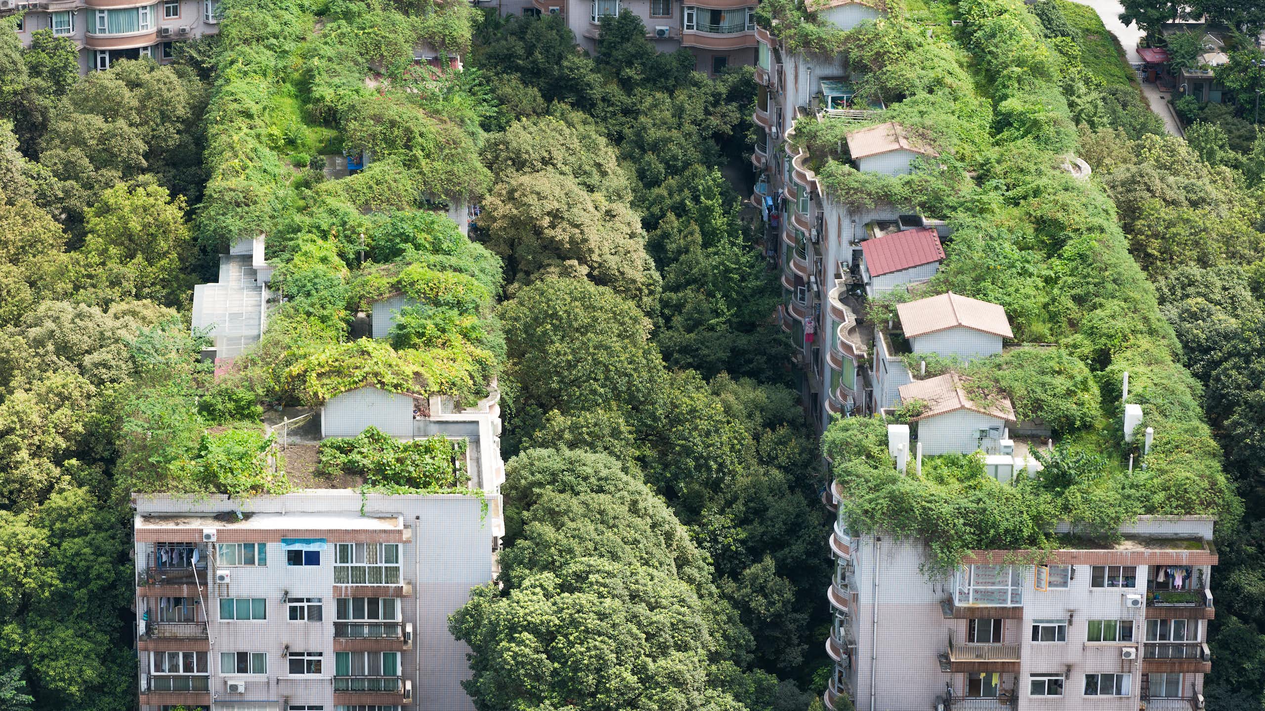 Hacia ciudades más saludables: las medidas de la COP30 para el futuro urbano