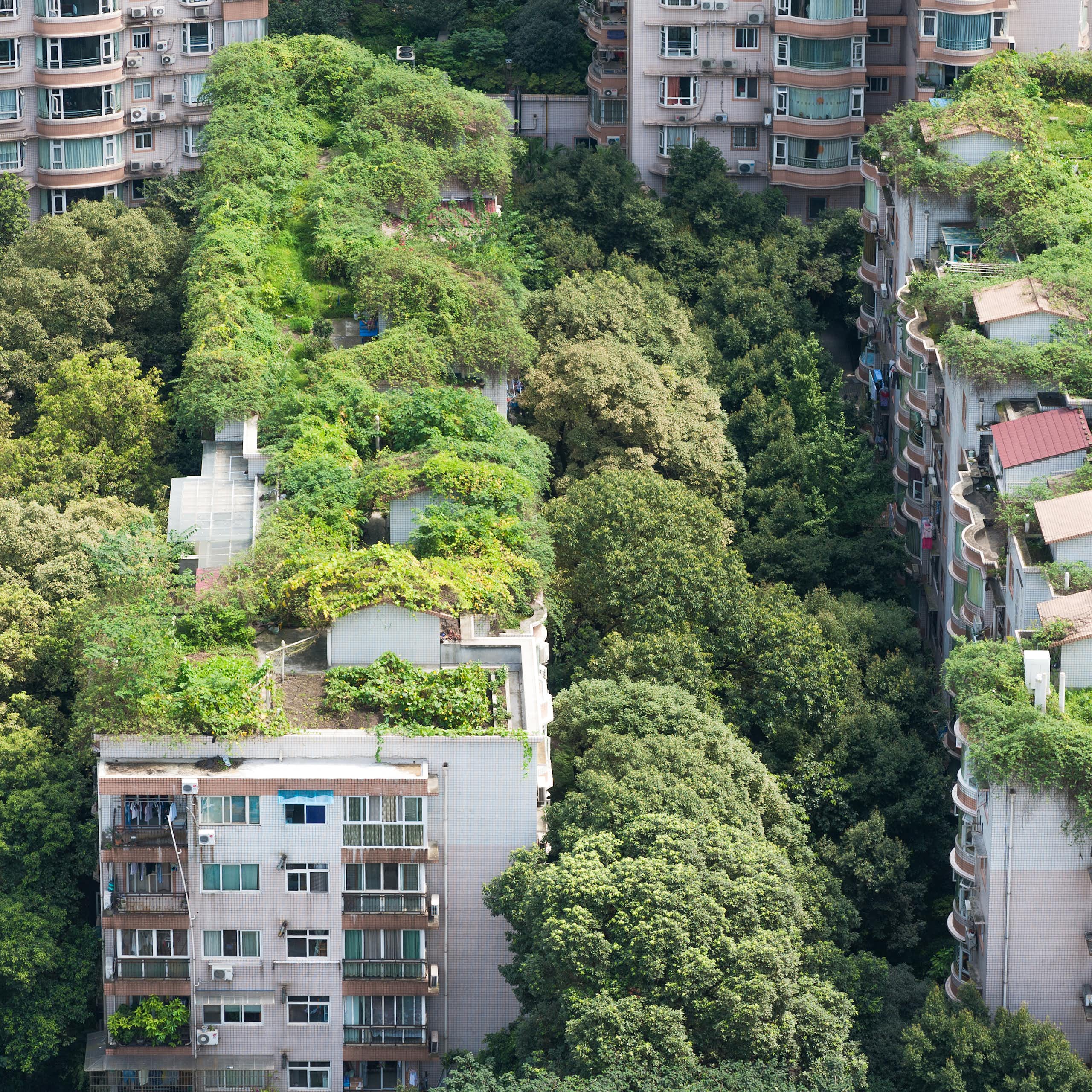 Hacia ciudades más saludables: las medidas de la COP30 para el futuro urbano
