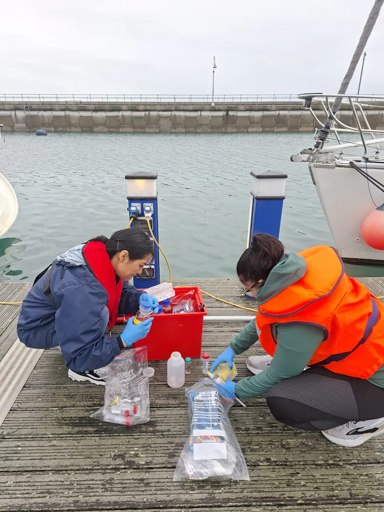 Scientists working on the dock.