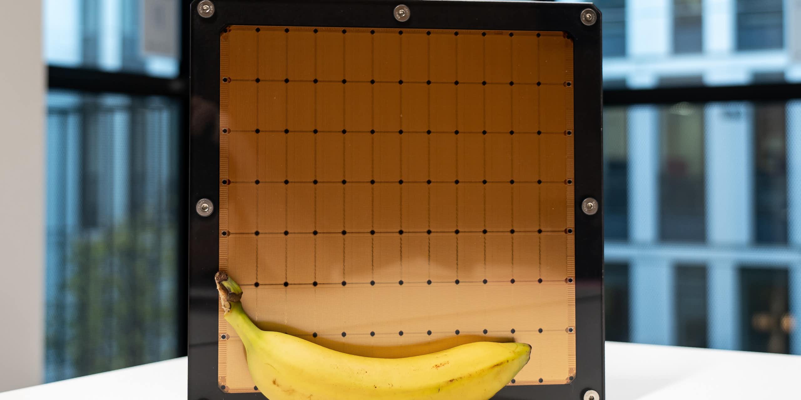 Wafer-scale chip with a banana in front of it