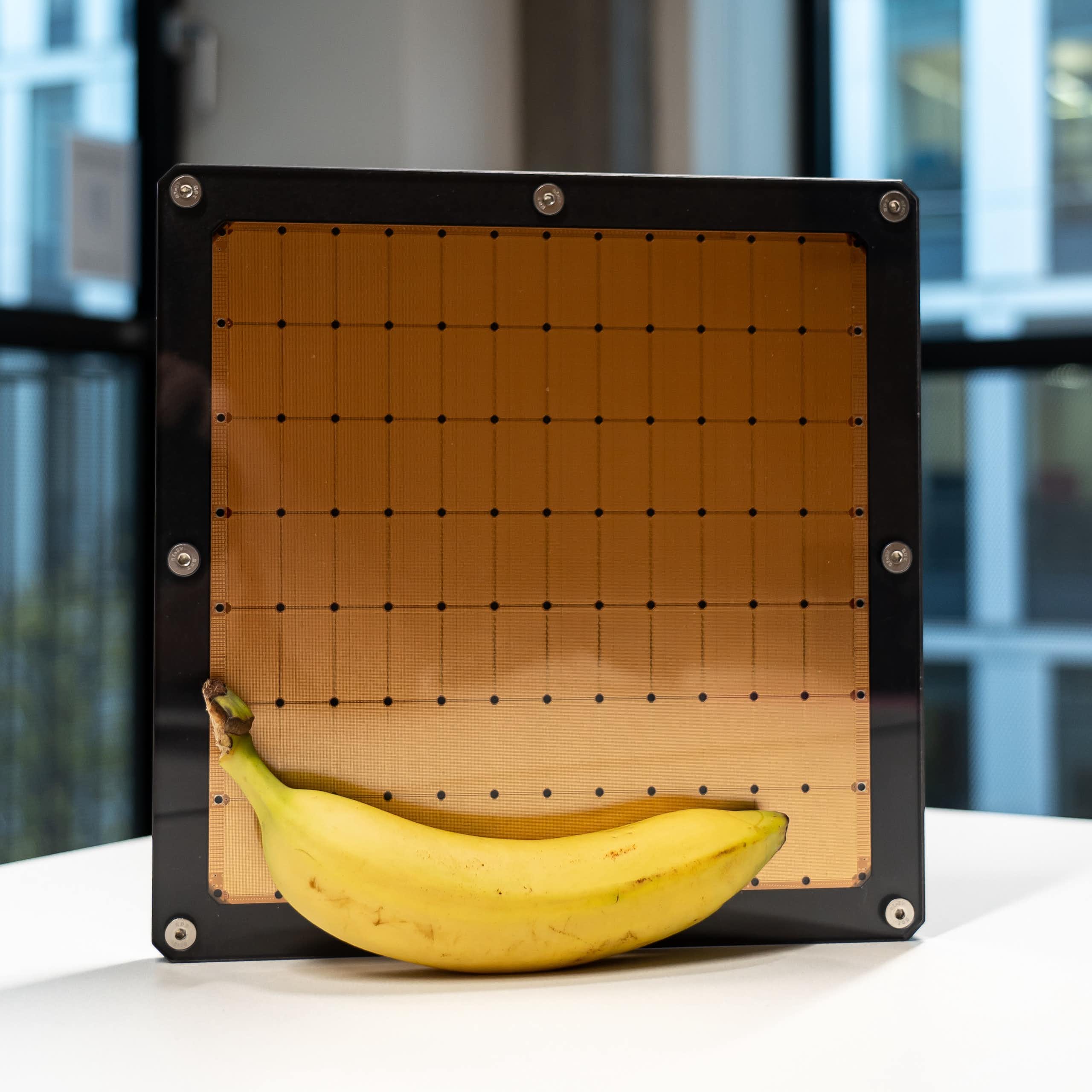 Wafer-scale chip with a banana in front of it
