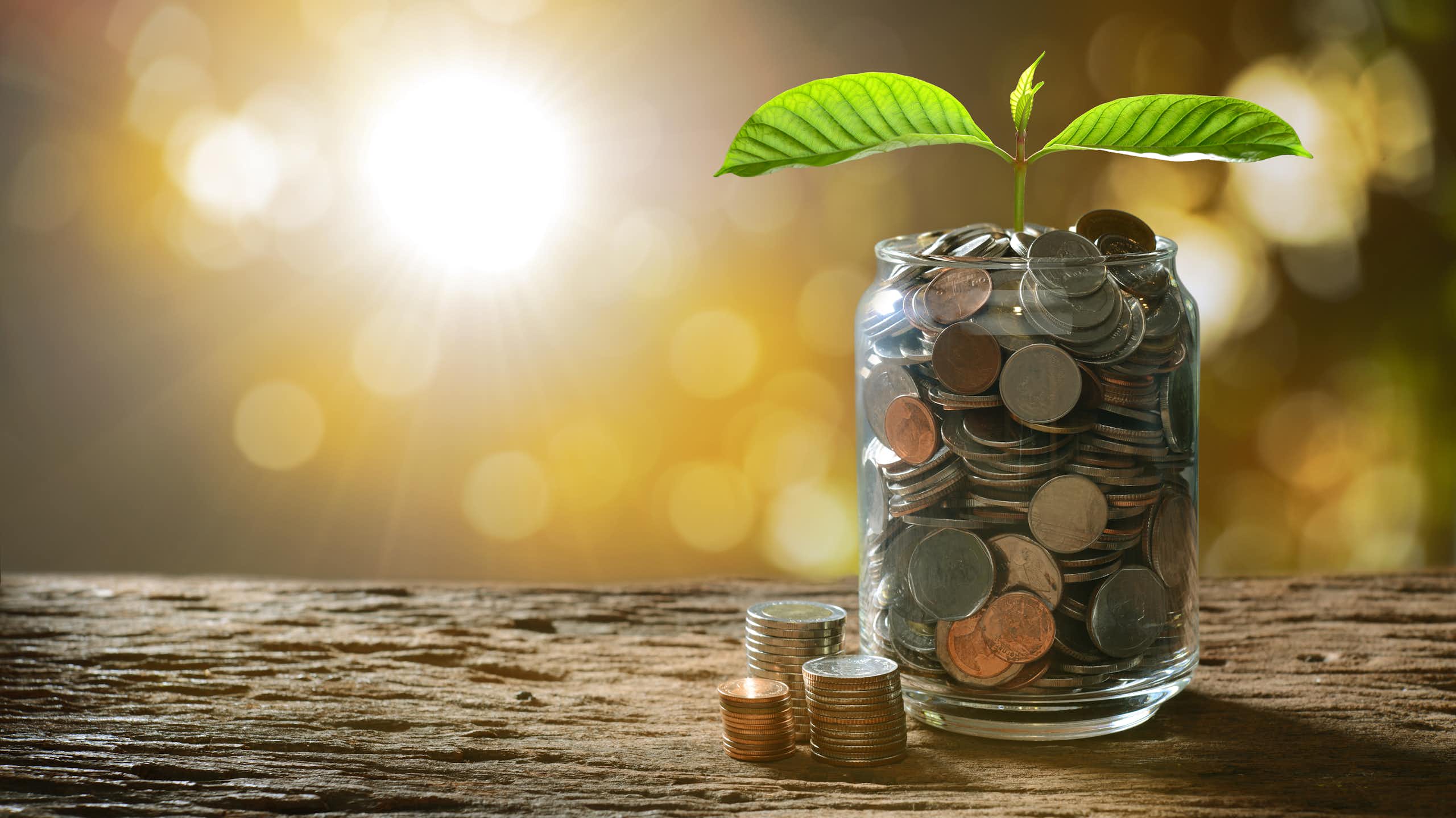 Líderes nacionais e internacionais discutirão na USP futuro da filantropia voltada à ciência brasileira