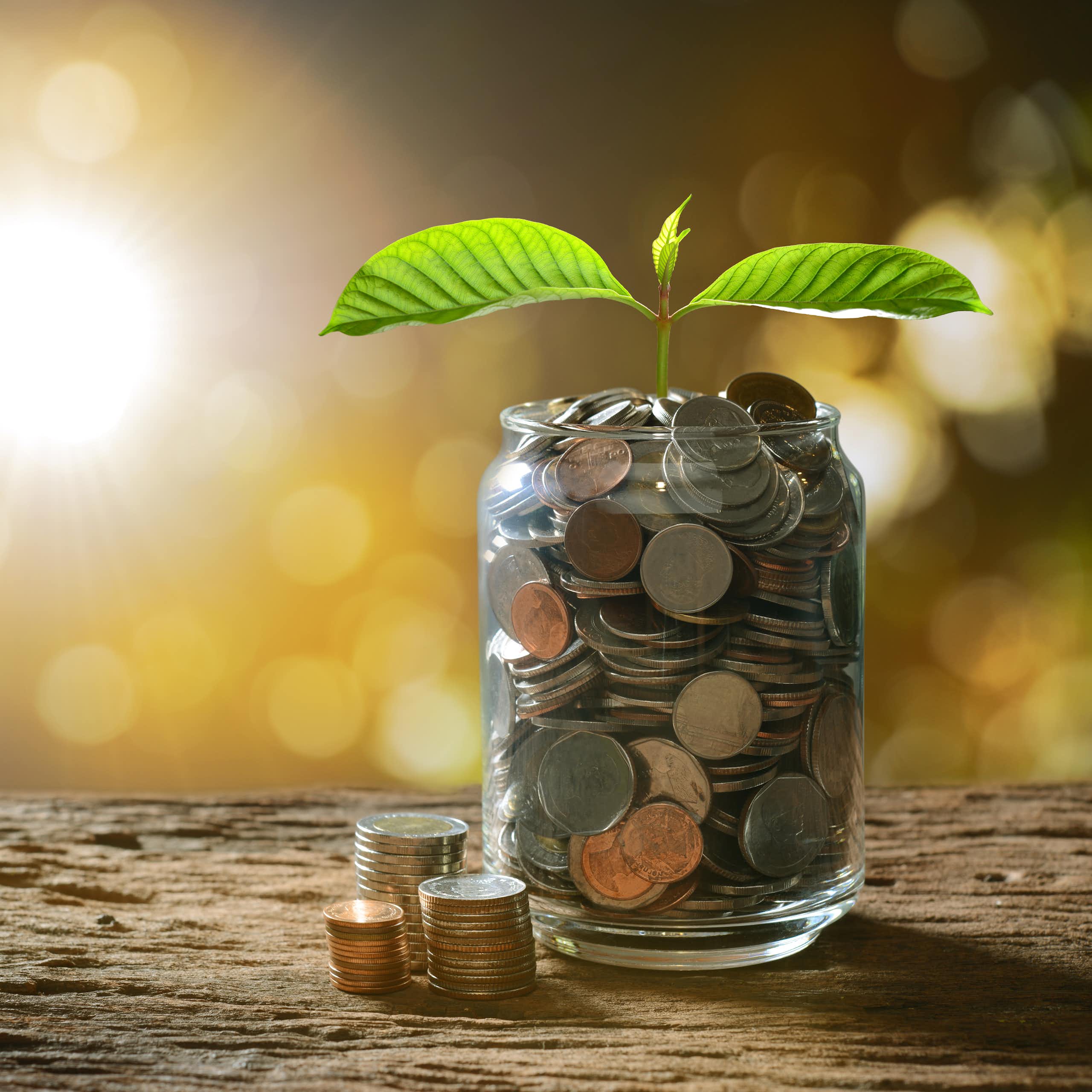 Líderes nacionais e internacionais discutirão na USP futuro da filantropia voltada à ciência brasileira