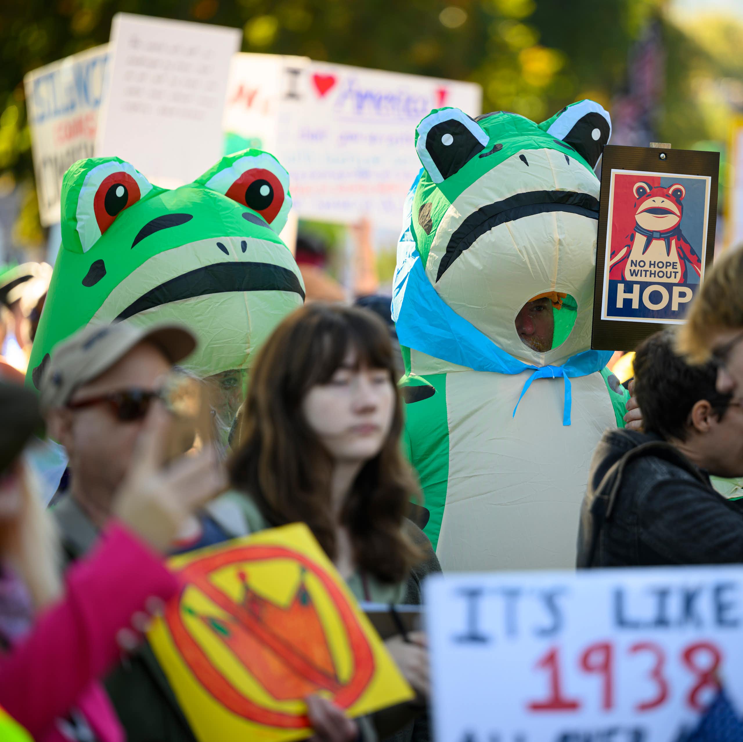 Protesters wearing frog costumes in a crowd of people.