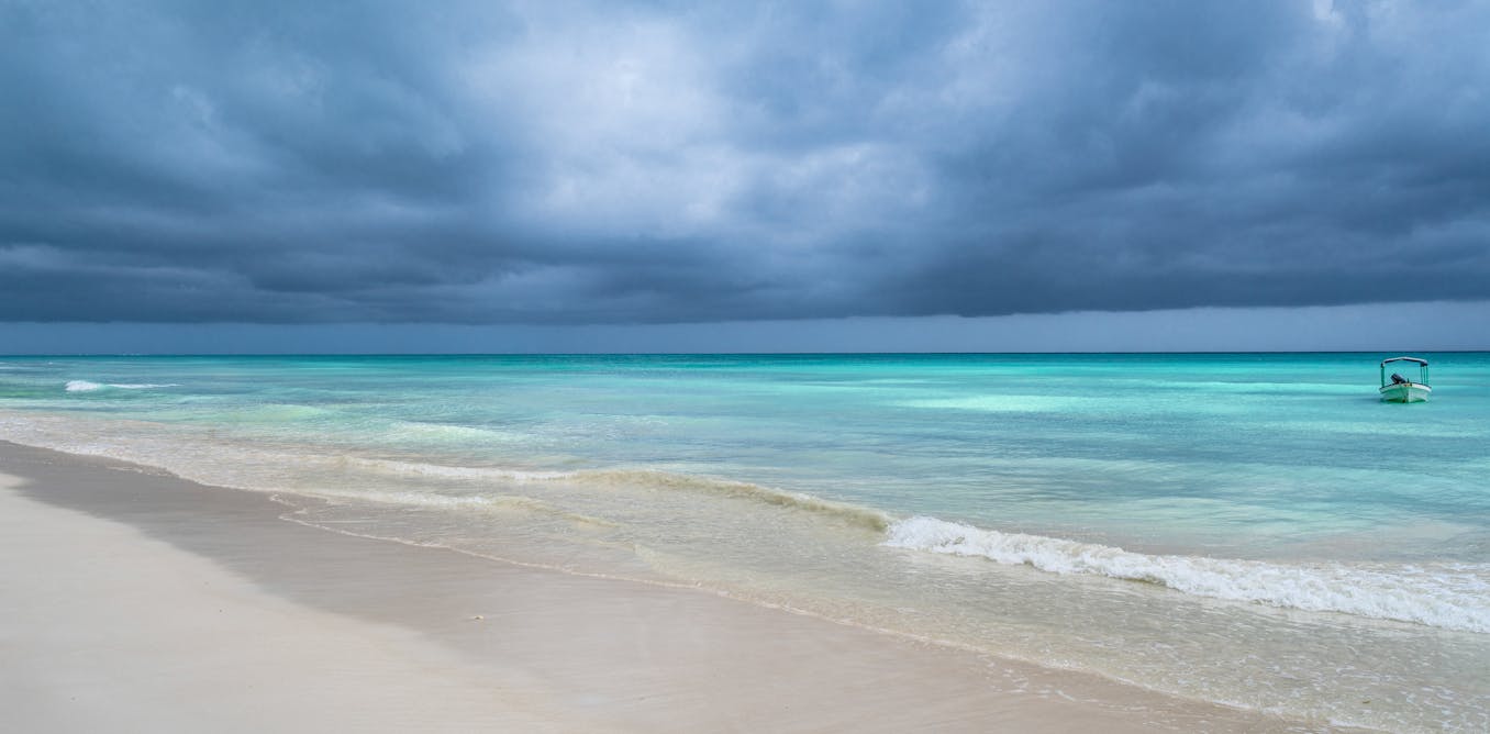 Australia has dropped its bid to host the COP31 climate talks. Here’s what happened – and what’s next Australia has dropped its bid to host the COP31 climate talks. Here’s what happened – and what’s next