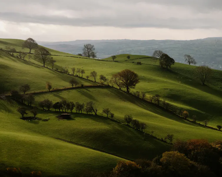 The Welsh mountainside