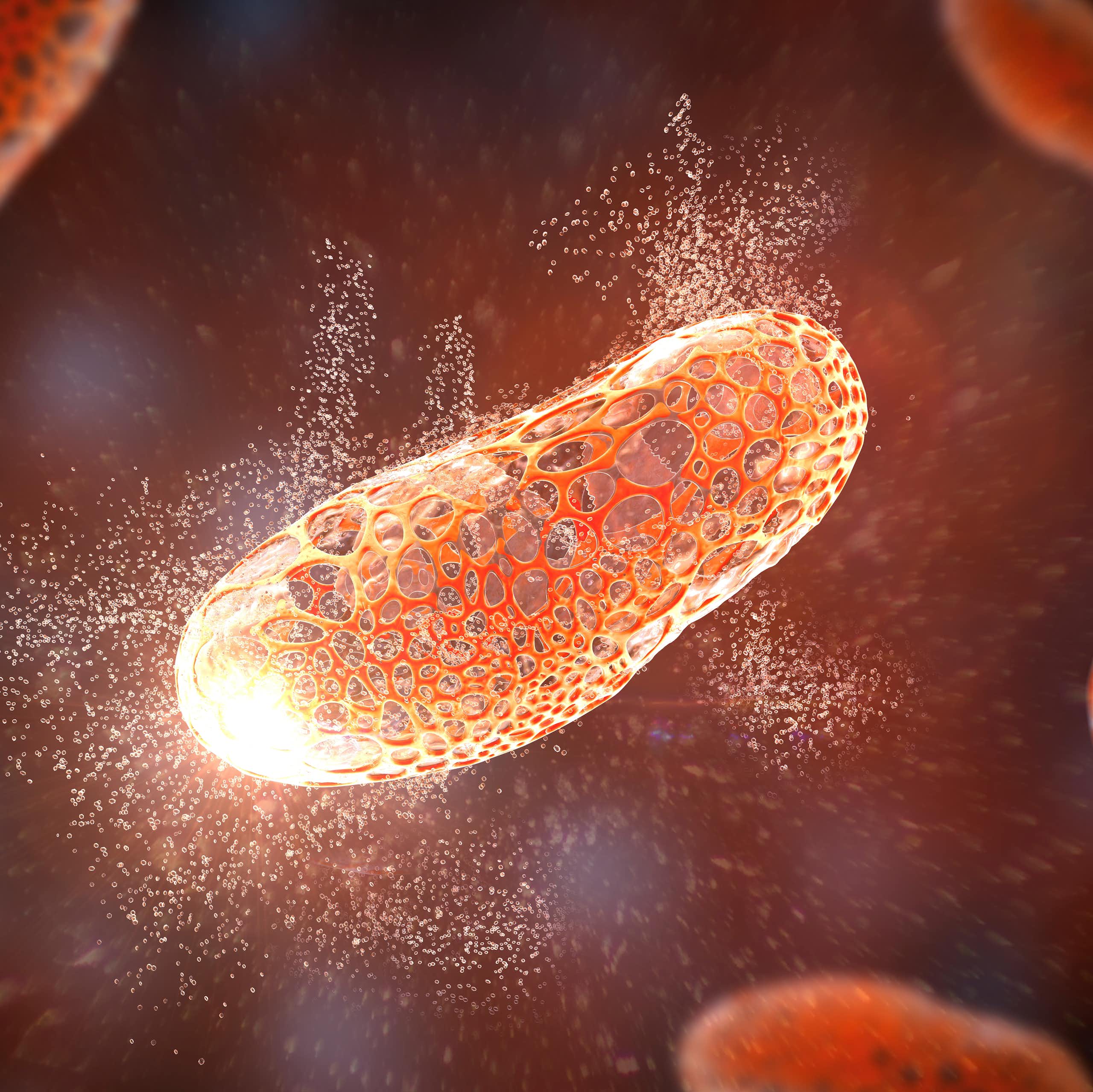Recreación de una bacteria, con forma de alubia, desintegrándose.