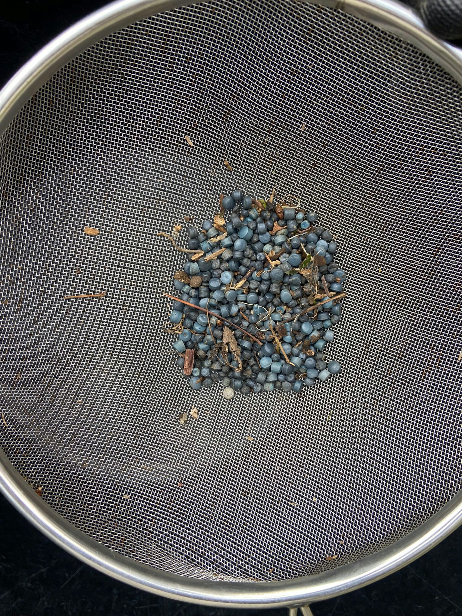 sieve with small black beads in centre