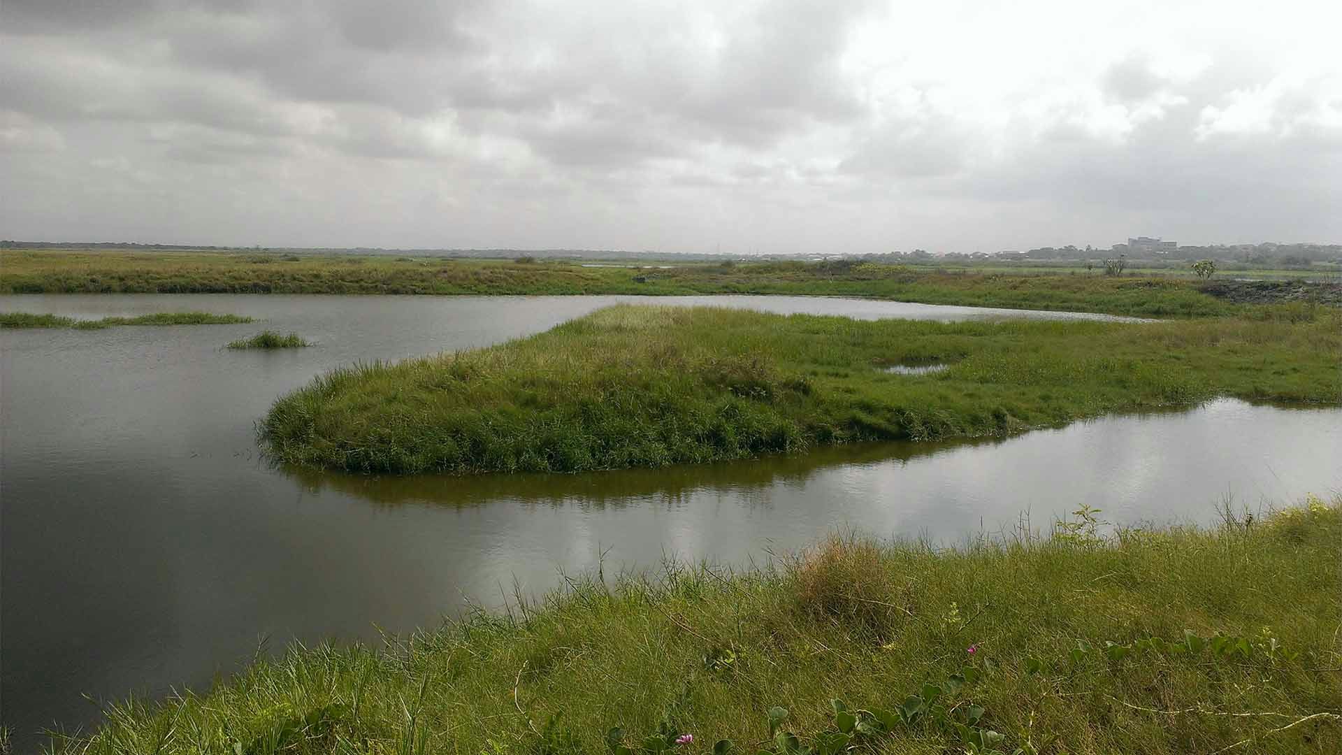 An important wetland in Ghana is under siege. Researchers investigate the real issues