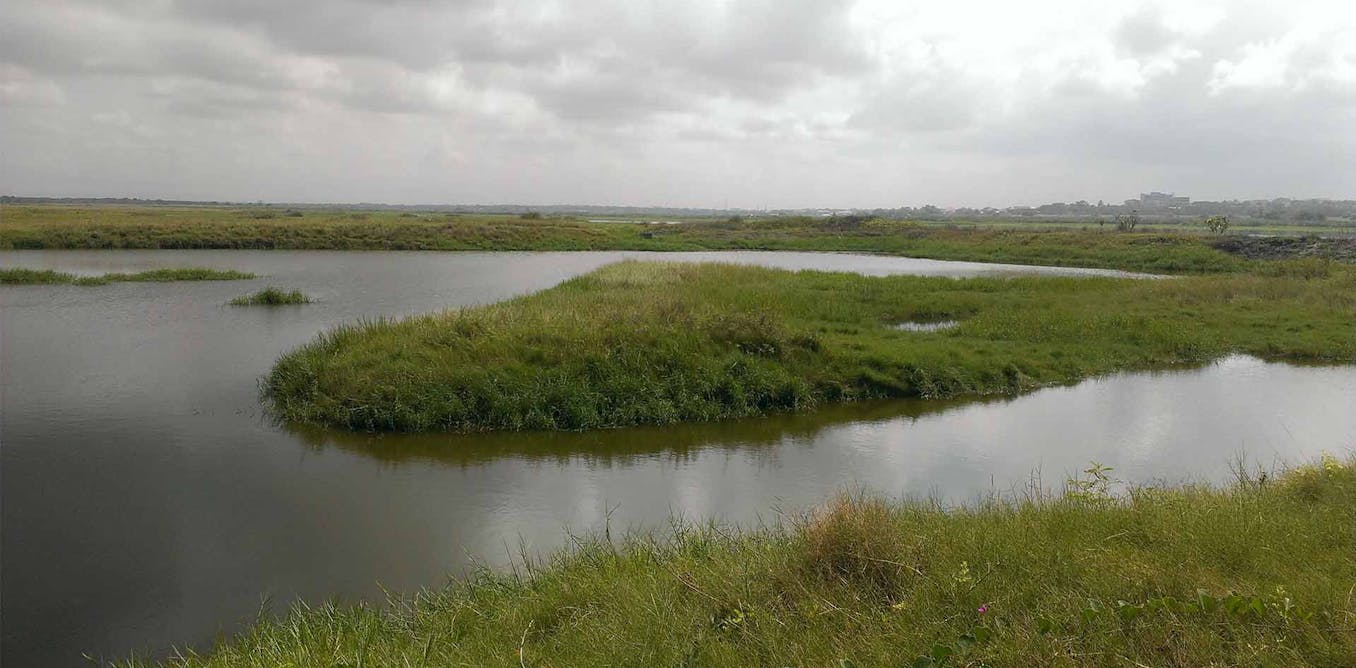 An important wetland in Ghana is under siege. Researchers investigate the real issues An important wetland in Ghana is under siege. Researchers investigate the real issues