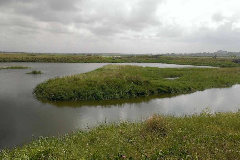 Landscape with water and grass, and buildings in the distance