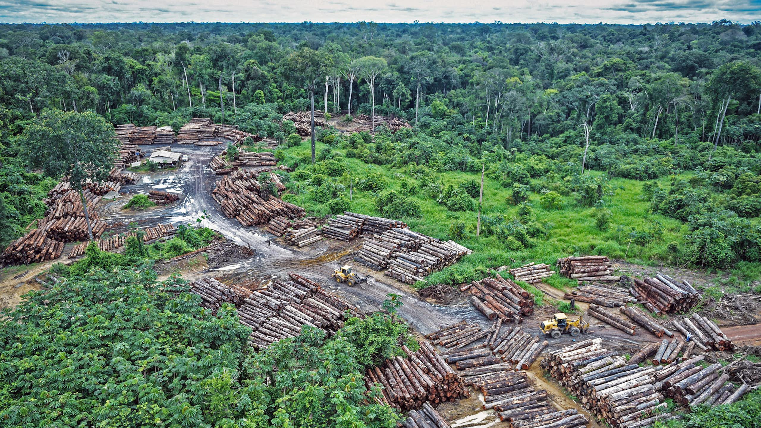 Clima, ambiente e saúde: uma ligação fundamental que continua fora do centro do debate