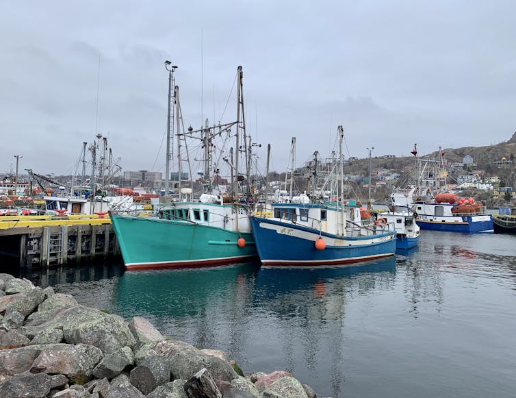 barcos de pesca amarrados en el puerto