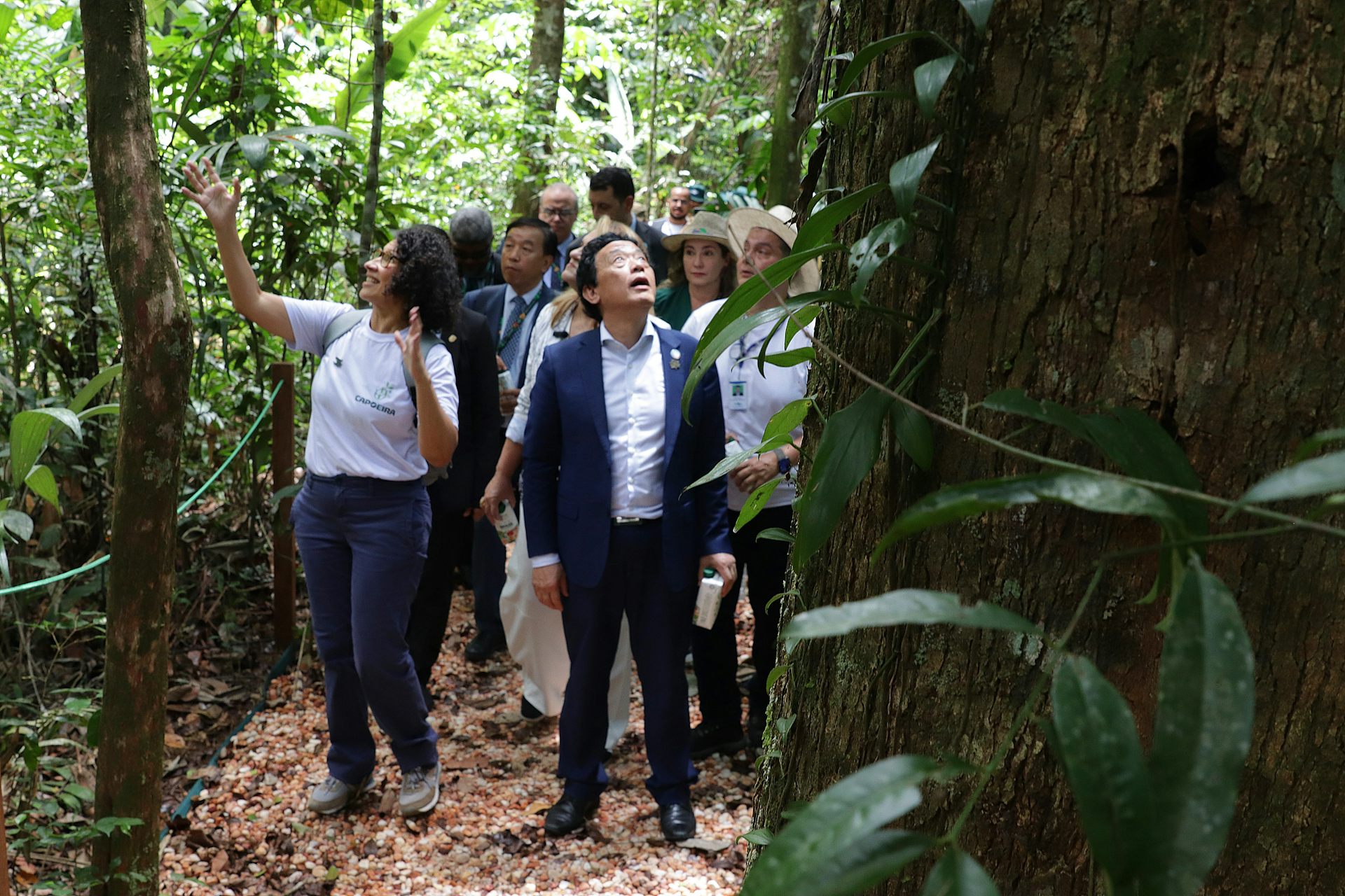 file 20251122 56 2qg75u.jpg?ixlib=rb 4.1