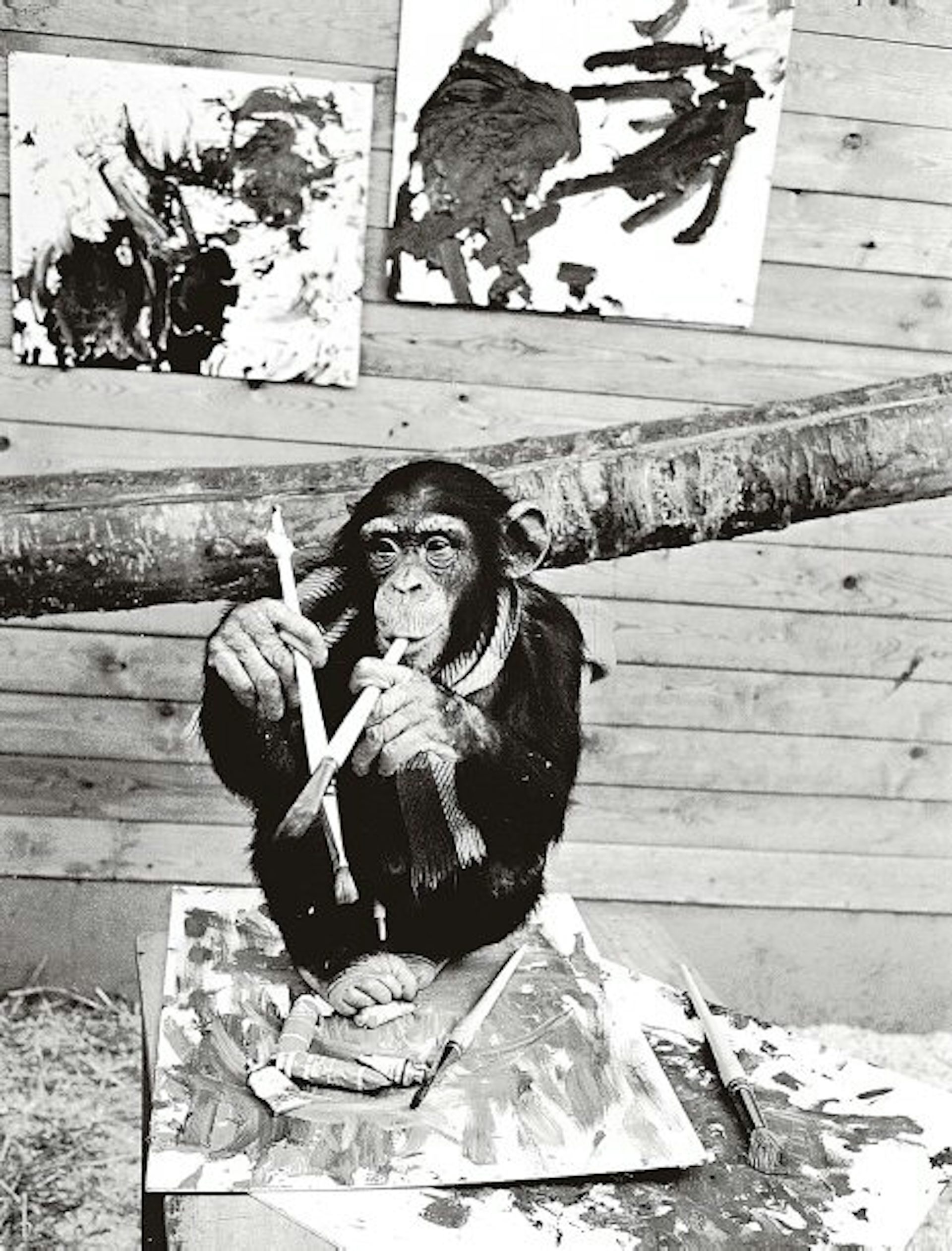 A black and white photo of a monkey holding brushes while sitting on some oil paintings.