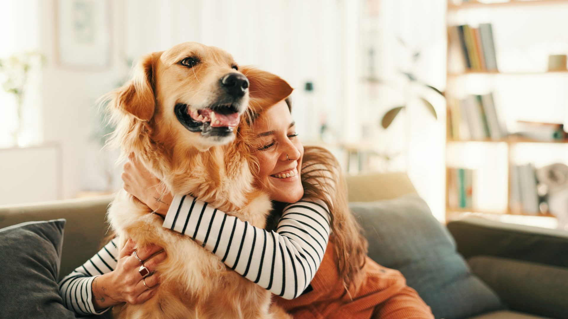 Golden retriever and human behaviour may be linked by the same genes – new research