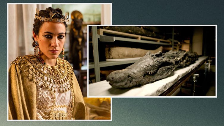 Does BBC Civilisations will get its 4 tales of cave in proper? Professionals weigh in 1 Mummy of nearly four-metre long crocodile, believed to be a manifestation of the God Sobek in lif