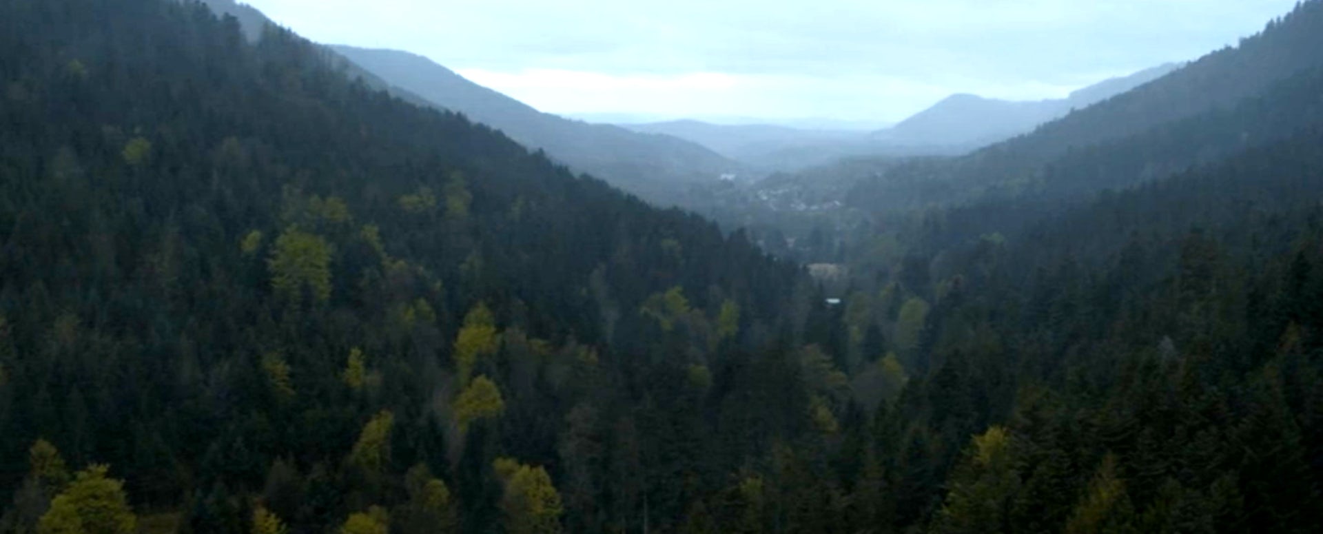 Les forêts du Grand-Est au cinéma : un territoire qui s’enracine à l’écran