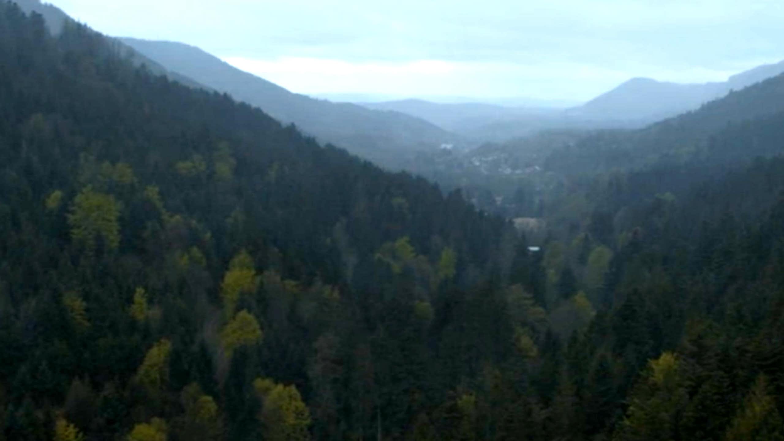 Les forêts du Grand-Est au cinéma : un territoire qui s’enracine à l’écran