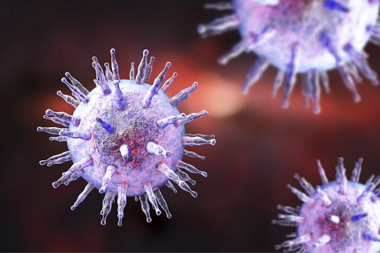 3D illustration of Epstein-Barr virus (EBV).