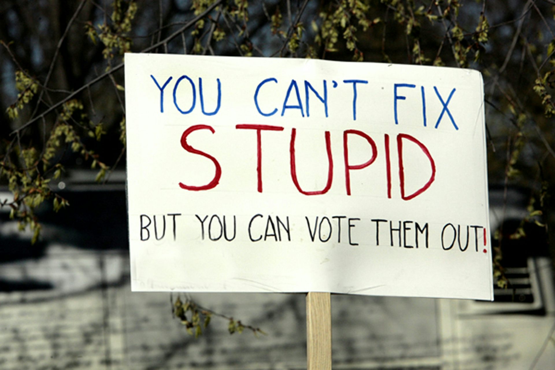 a sign reads you can't fix stupid but you can vote them out