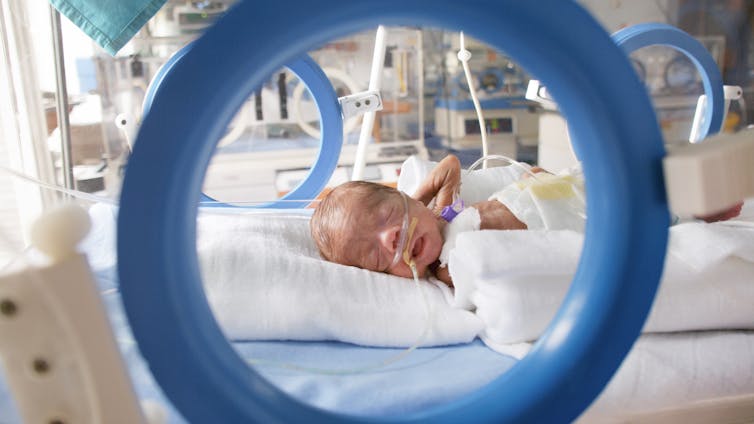 file 20251124 66 j2ll8w.jpg?ixlib=rb 4.1