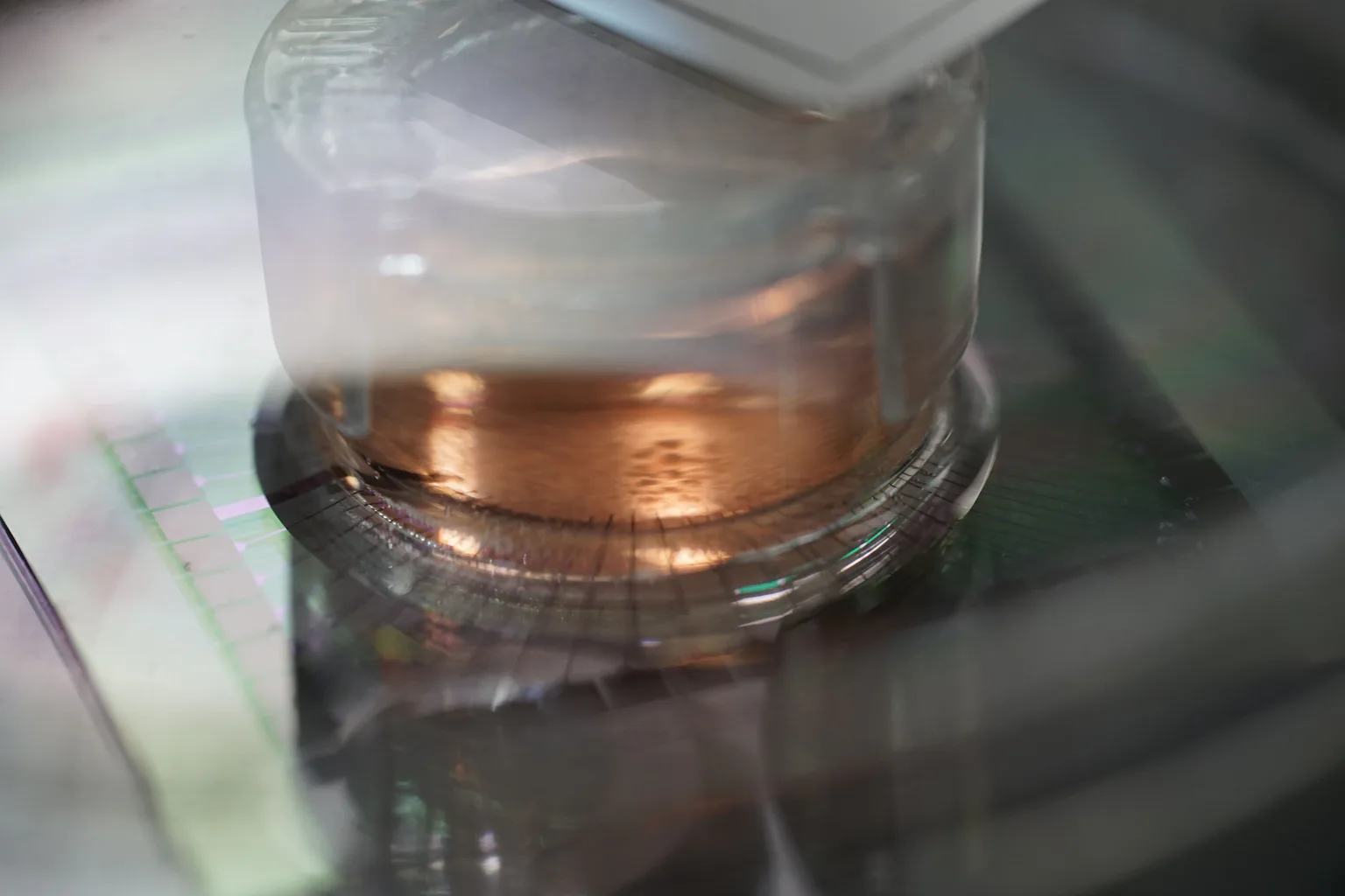 How scientists are growing computers from human brain cells – and why ...