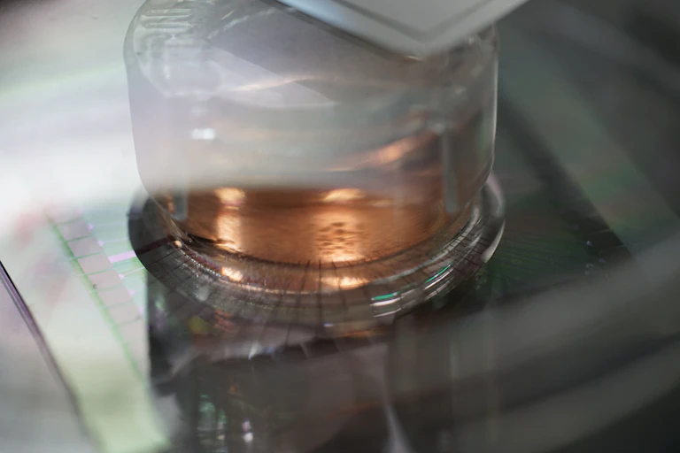 A microelectrode array covered with neurons