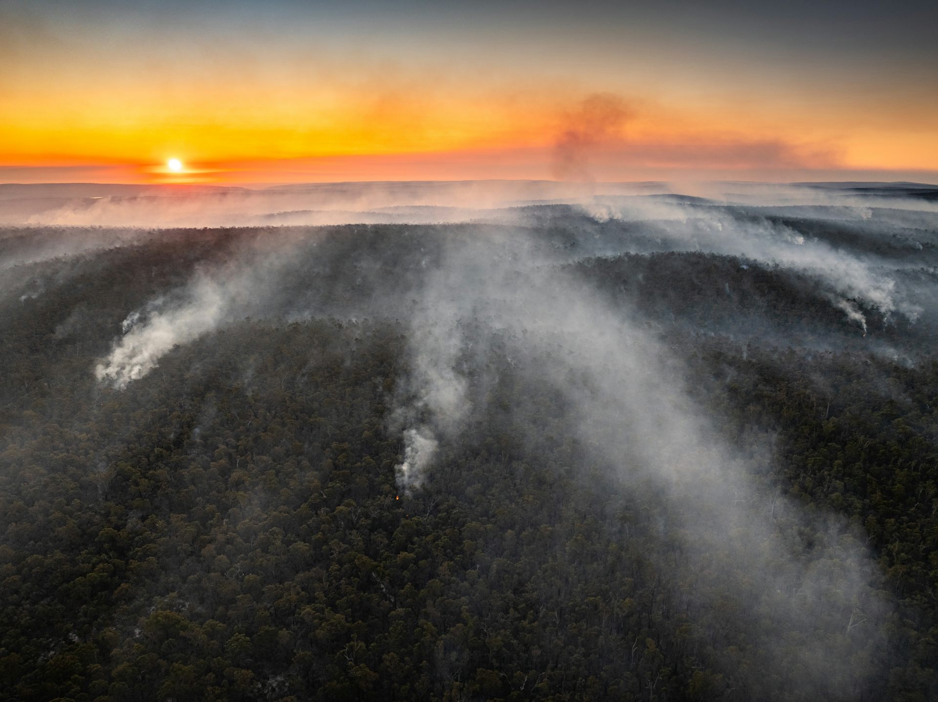 In 1939, a Royal Commission found burning forests leads to more bushfires. But this cycle of destruction can be stopped