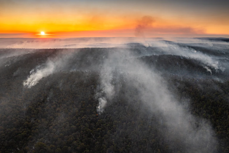 smoke coming from forest as sun sets.