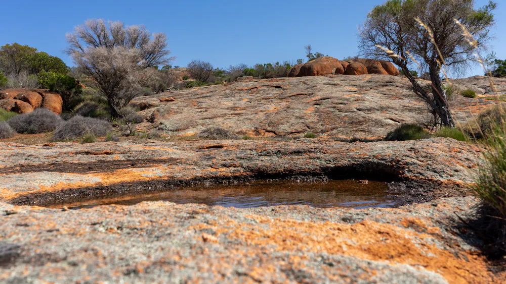 High Rocks Australia The surprising aquatic life of Australia’s outback - Australian Geographic