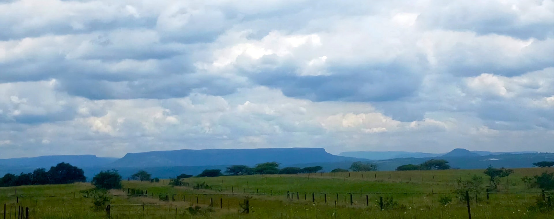 Africa’s Longest-Running Grassland Research Project Offers Up a Wealth of Knowledge