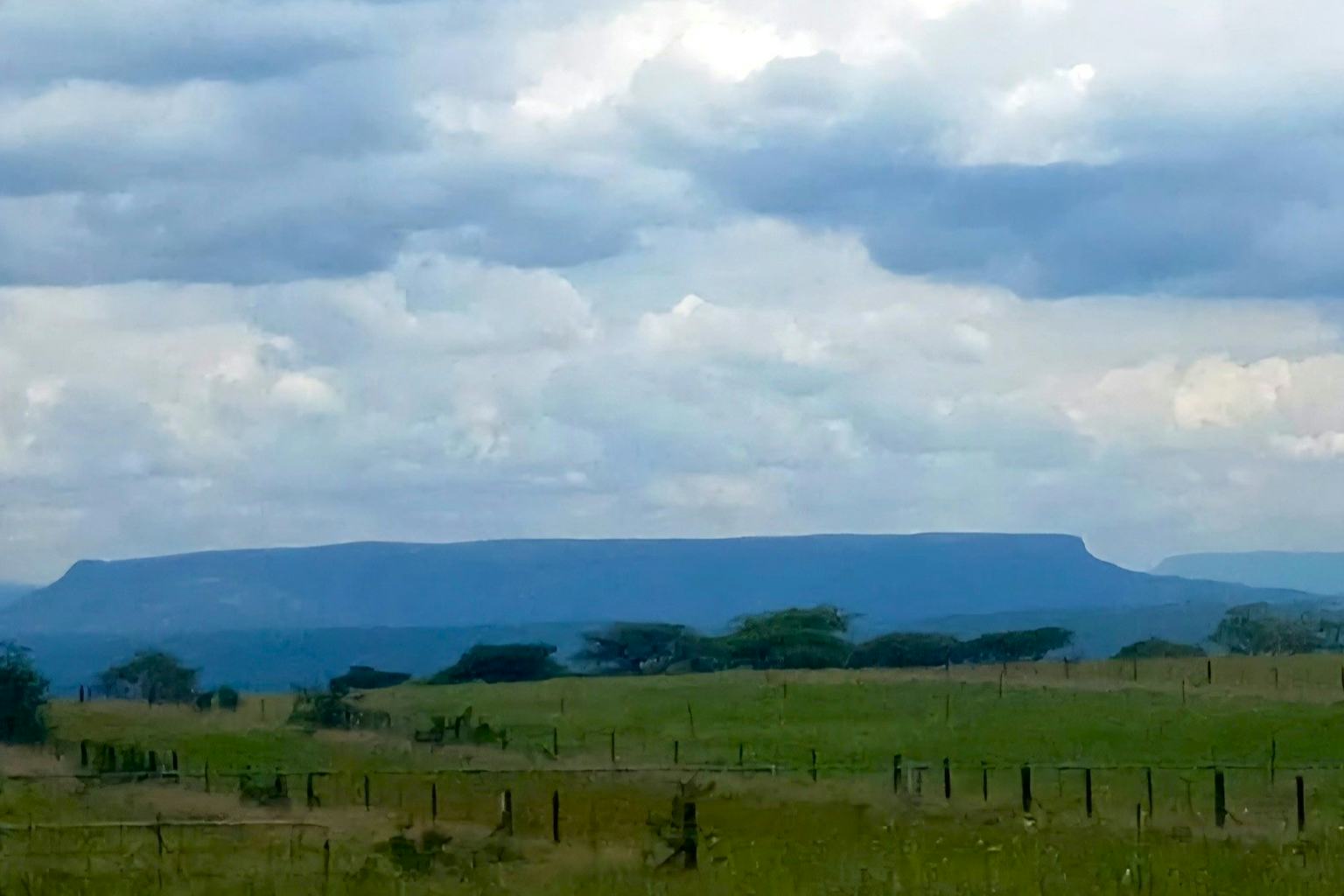 Africa’s Longest-Running Grassland Research Project Offers Up a Wealth of Knowledge Africa’s Longest-Running Grassland Research Project Offers Up a Wealth of Knowledge