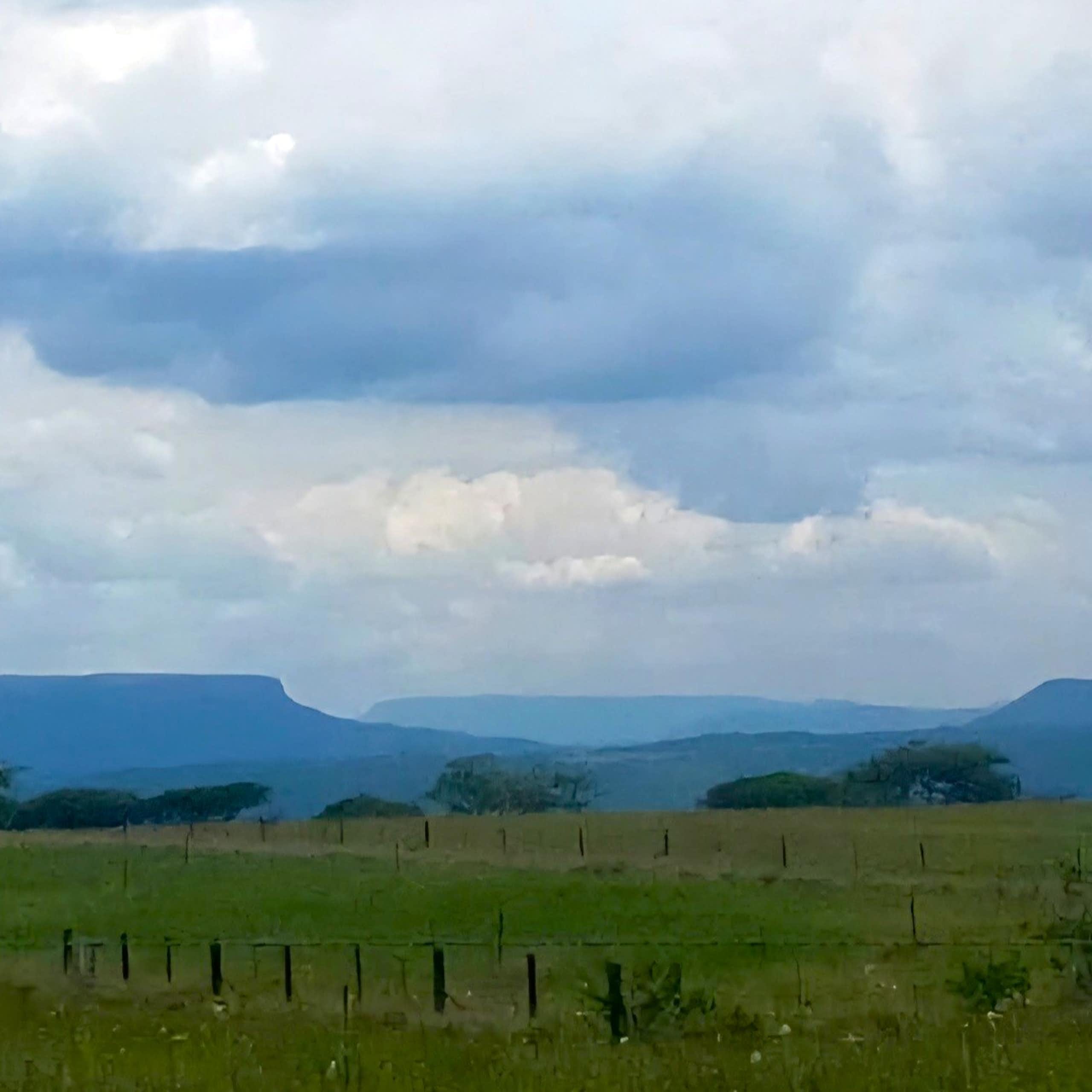 Landscape with grass and distant hills