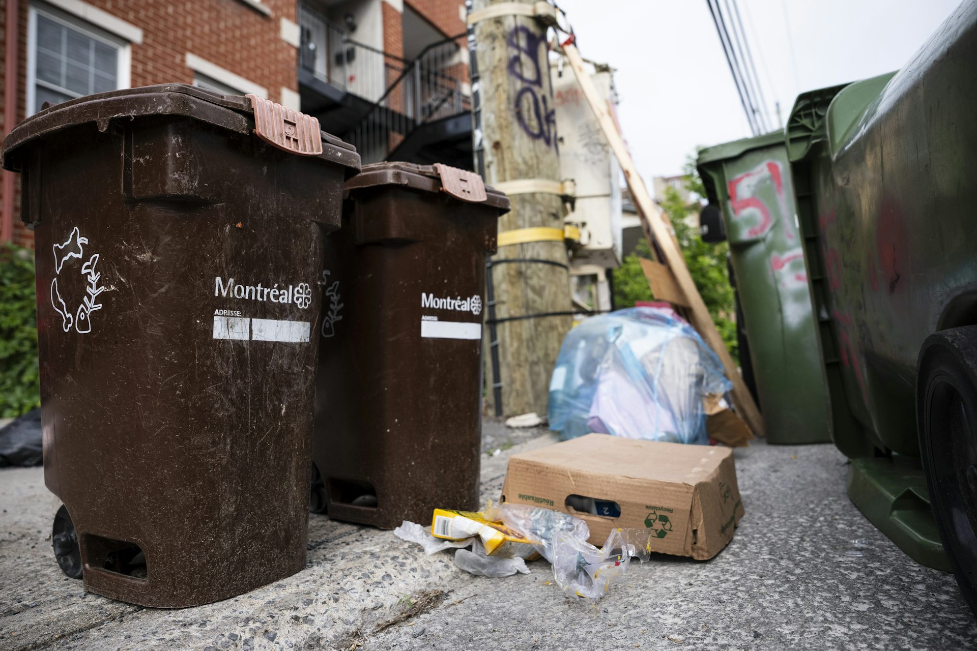 Contenedores de abono junto a contenedores de basura en la calle.