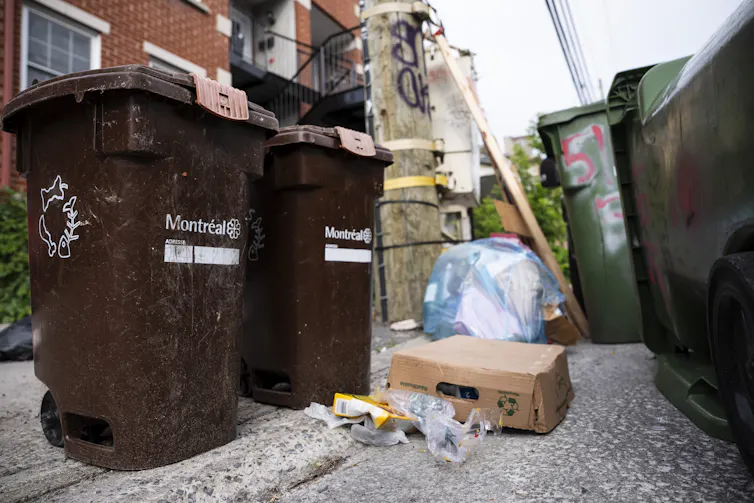 Contenedores de abono junto a contenedores de basura en la calle.