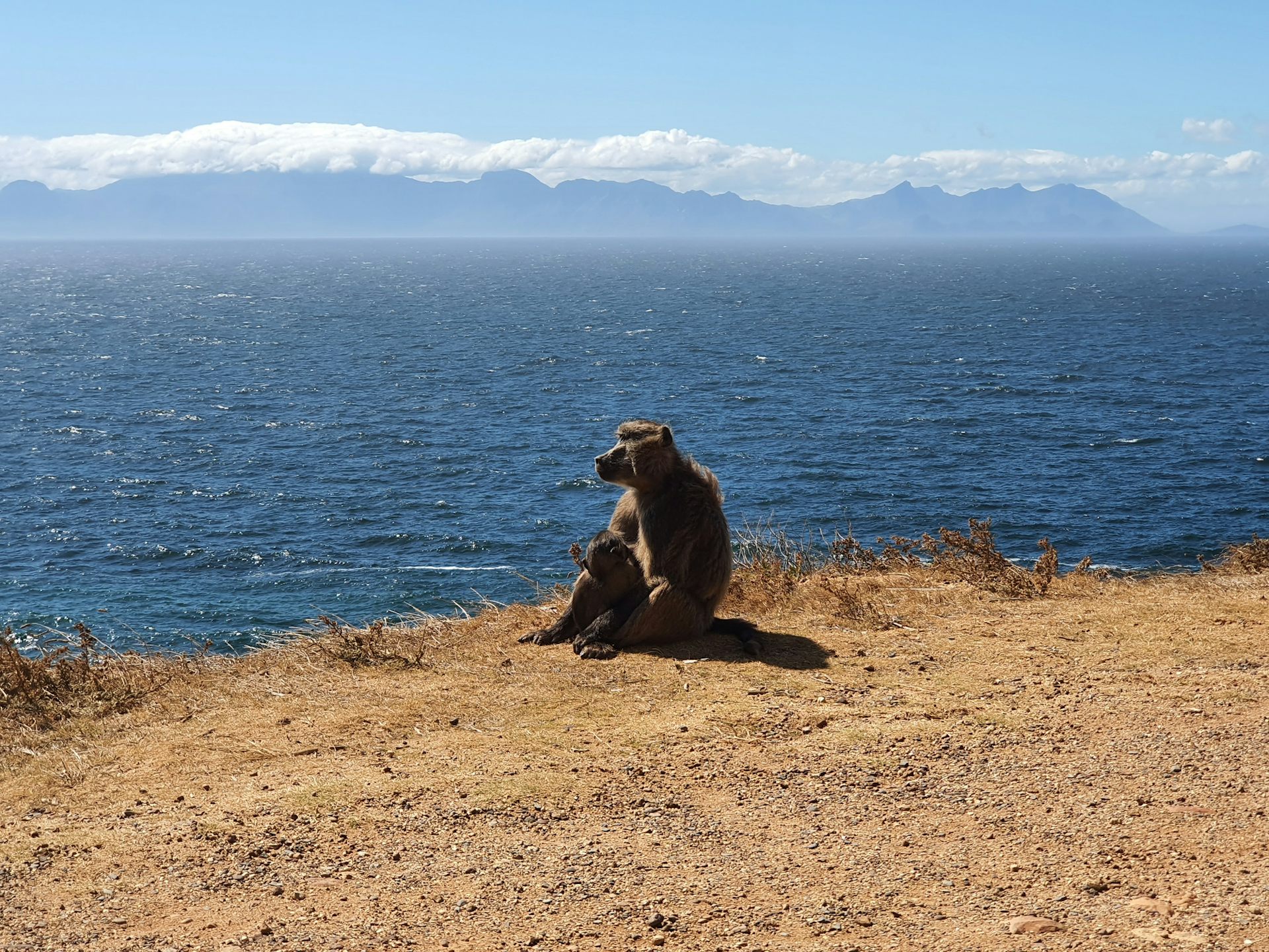 what’s worked – and what hasn’t