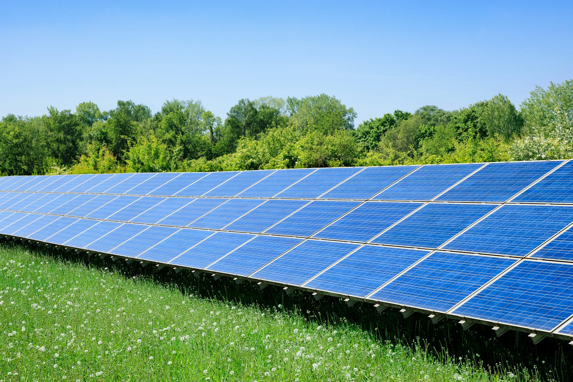 ¿Es posible la transición verde sin silicio y litio?