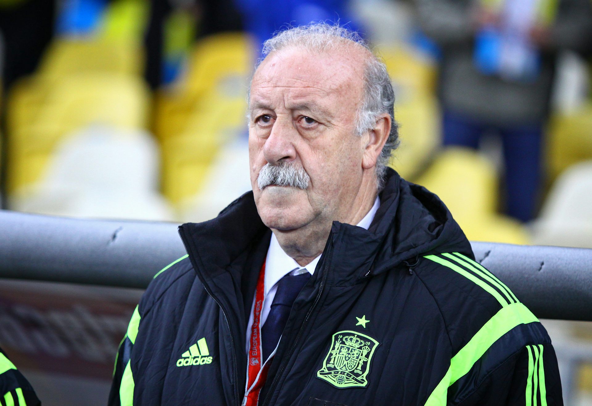 Retrato de Vicente del Bosque.