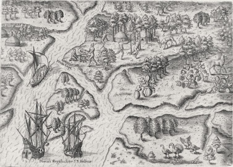 Turkey, the historical past of domestication 2 file 20251126 56 ifh95a.jpg?ixlib=rb 4.1