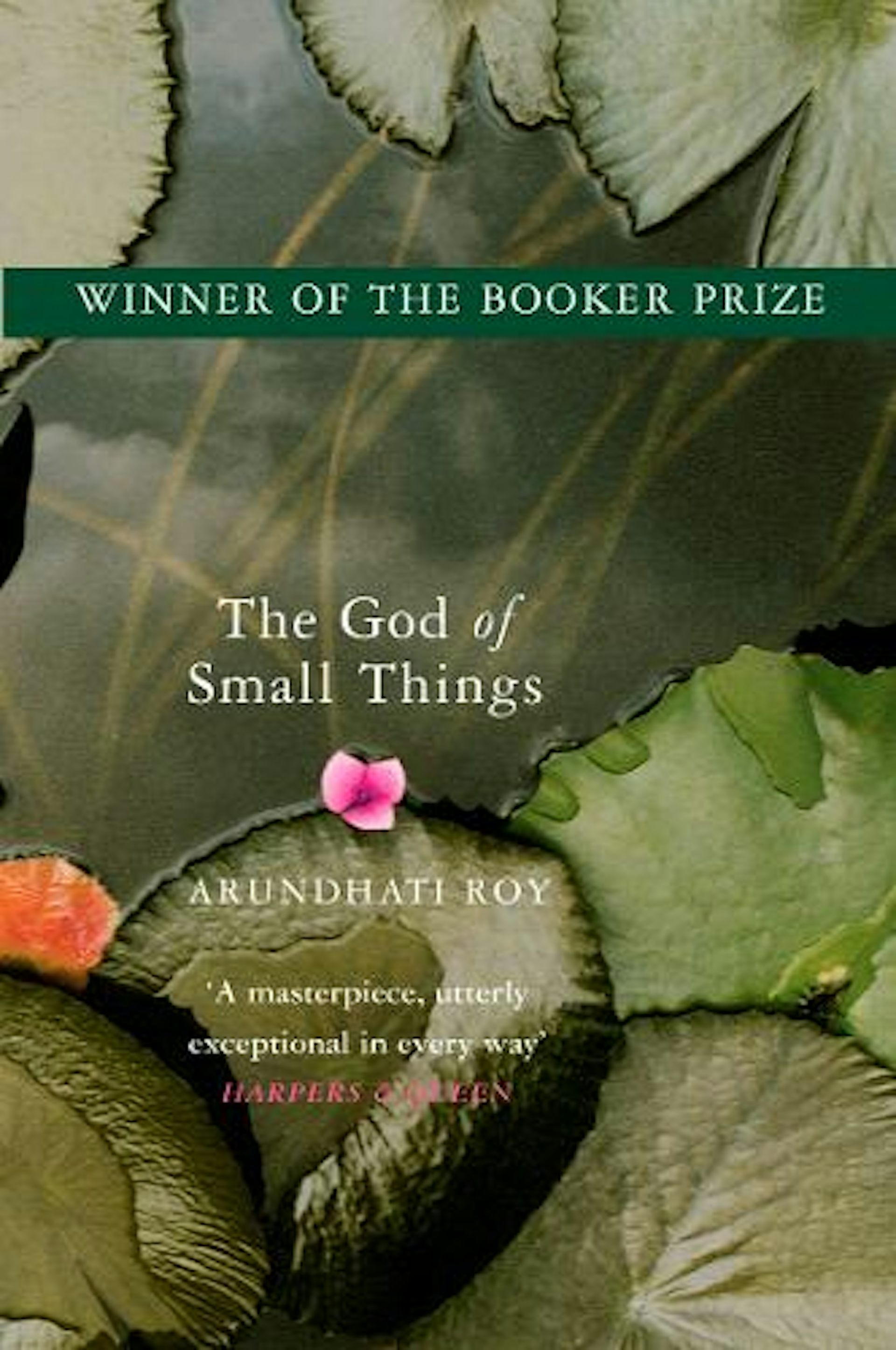 Lily pads on the cover of The God of Small Things
