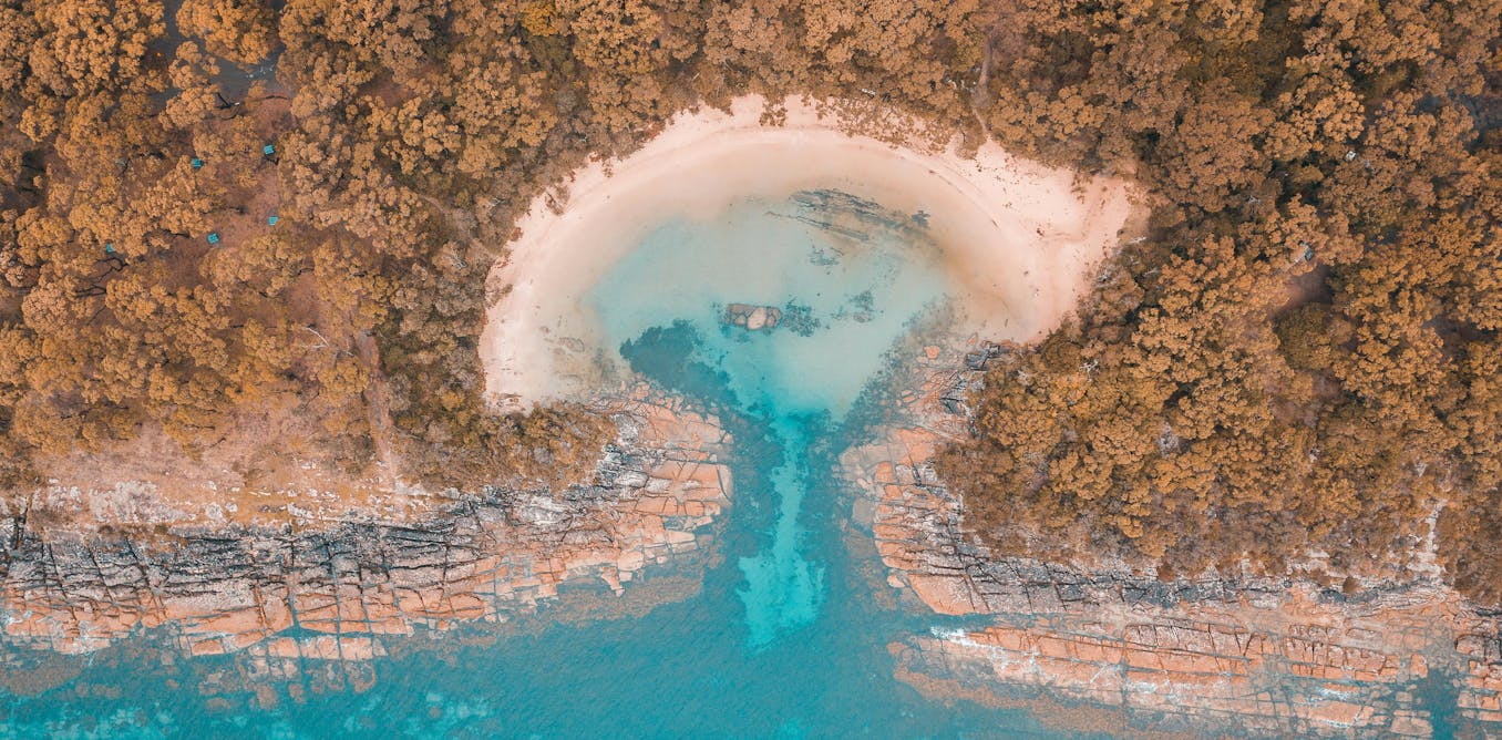 Long-sought environmental law reform is finally here. But will the compromise deal actually protect nature? Long-sought environmental law reform is finally here. But will the compromise deal actually protect nature?