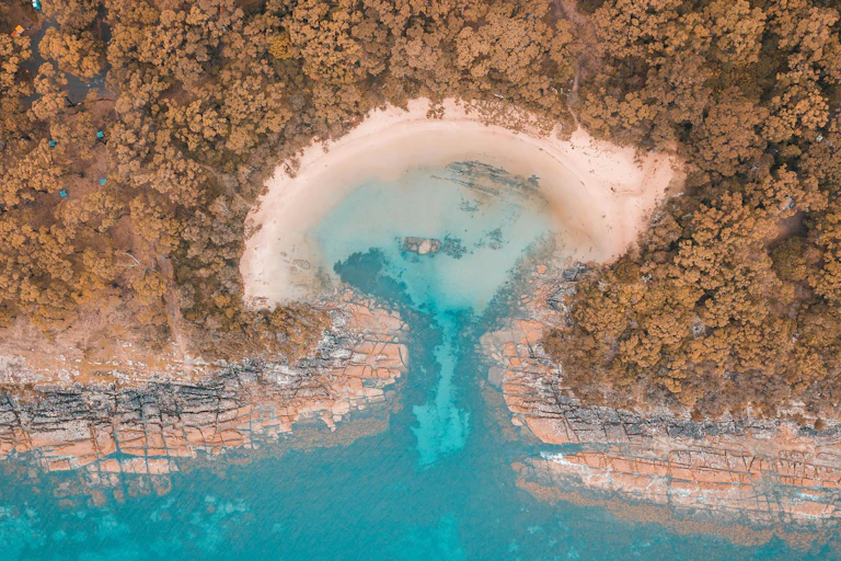 Aerial view of forest and lagoon
