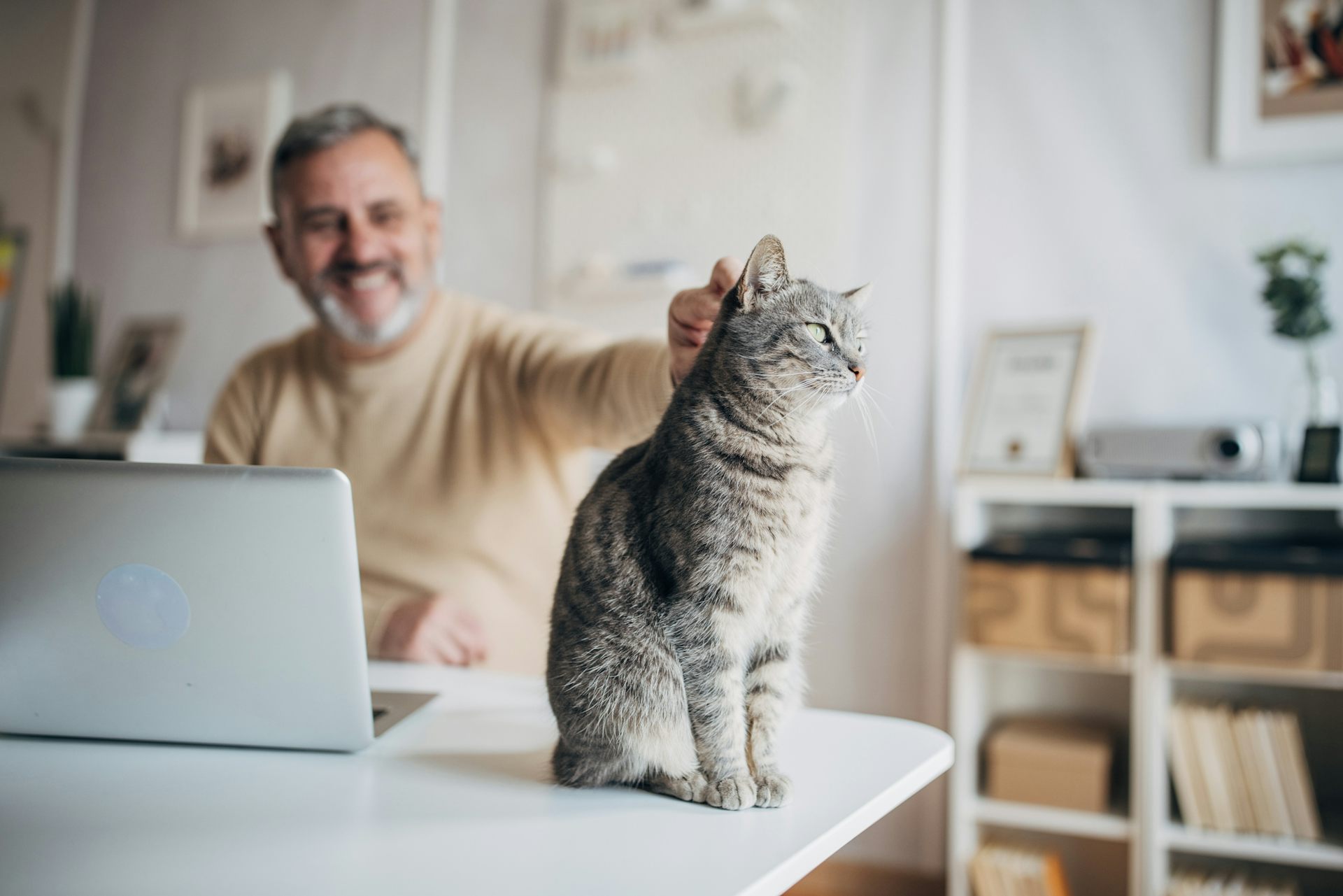 What’s working from home doing to your mental health? We tracked 16,000 Australians to find out