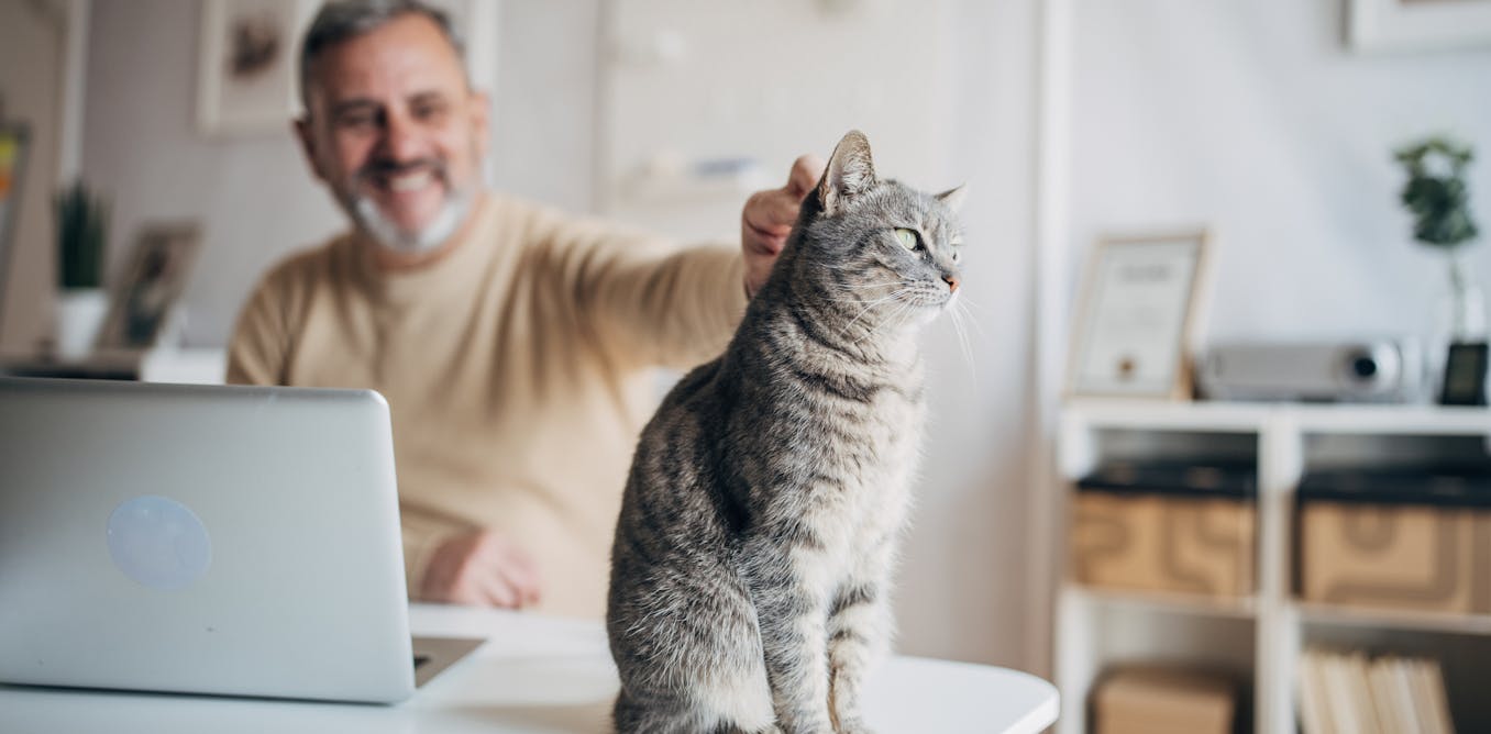 What's working from home doing to your mental health? We tracked 16,000 Australians to find out