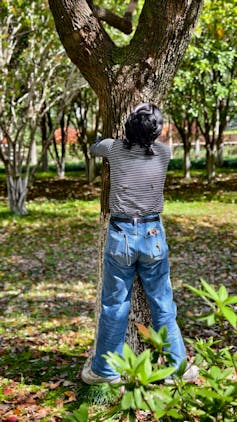 Why such a lot of younger folks in China are hugging timber 1 file 20251127 56 coh54j.jpeg?ixlib=rb 4.1